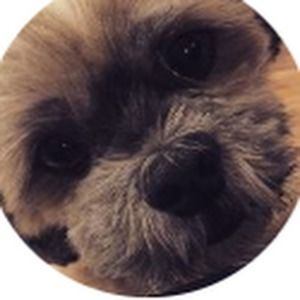 Meet your Posher, Ella